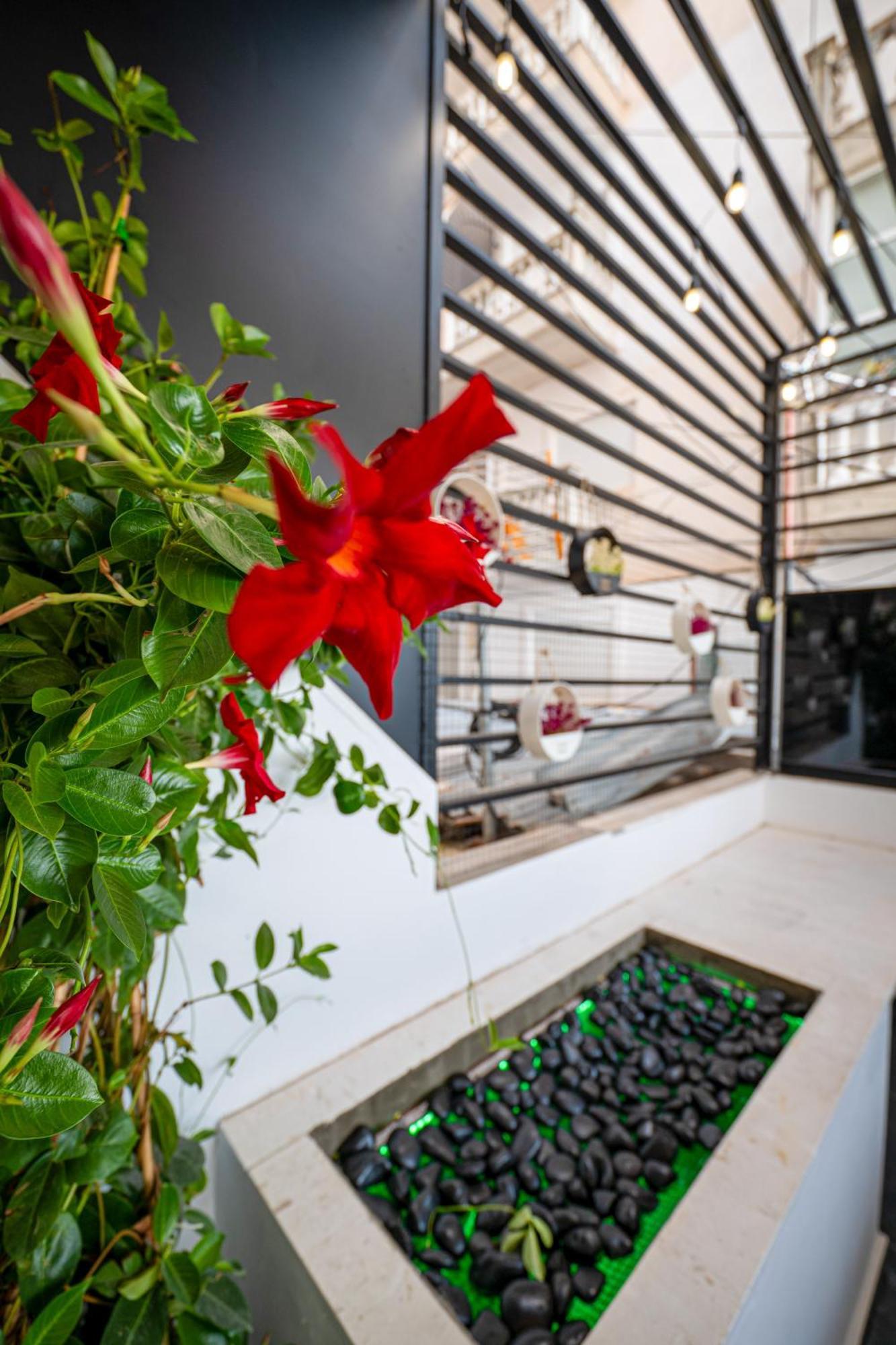 Mato Luxury Apartments Sarande Exterior photo